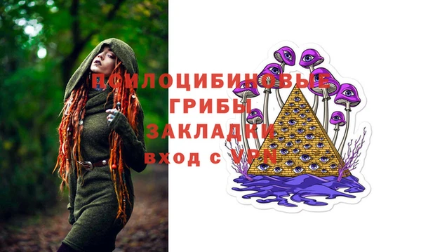 гидра Алексеевка